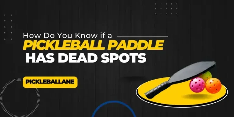 How Do You Know if a Pickleball Paddle Has Dead Spots || Pickleball Ane