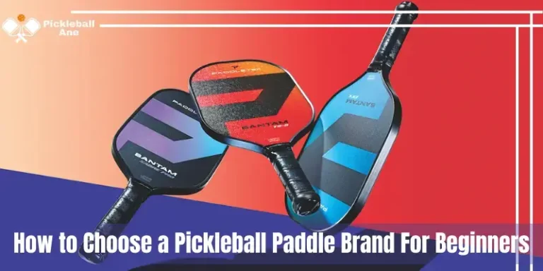 How to Choose a Pickleball Paddle Brand For Beginners || Best Guide