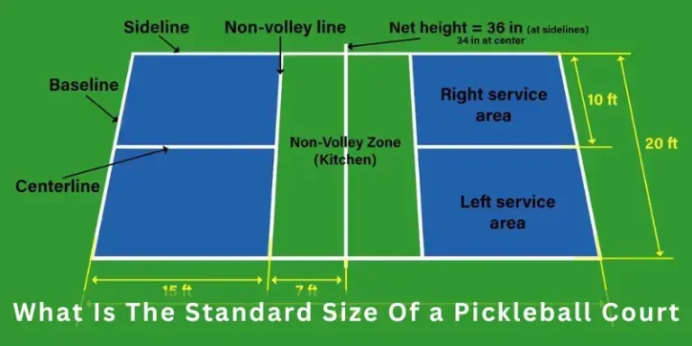 What is the Standard Size of a Pickleball Paddle || Simple Guide