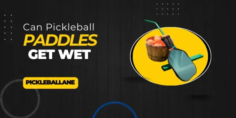 Can Pickleball Paddles Get Wet || Detail Guide