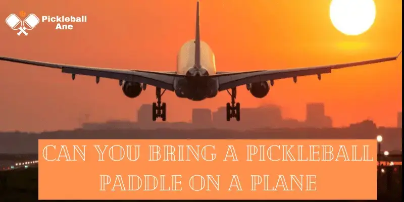 can you bring a pickleball paddle on a plane