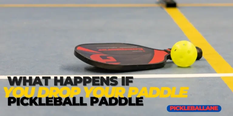 What Happens If You Drop Your Paddle In Pickleball